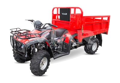 Viar VXT 300