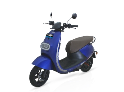 Viar New Q1L